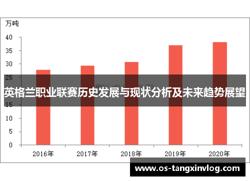 英格兰职业联赛历史发展与现状分析及未来趋势展望